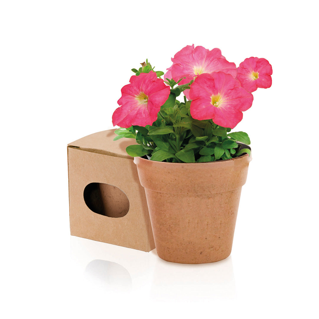 Pot de fleur biodégradable livré avec ses graines ADVERT