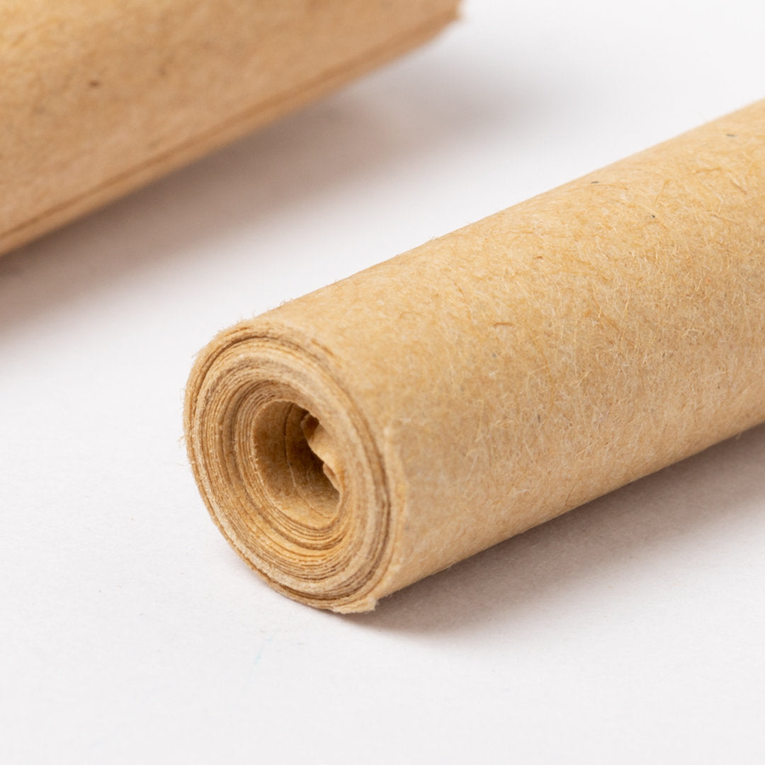 Stylo en carton recyclé WALBEK