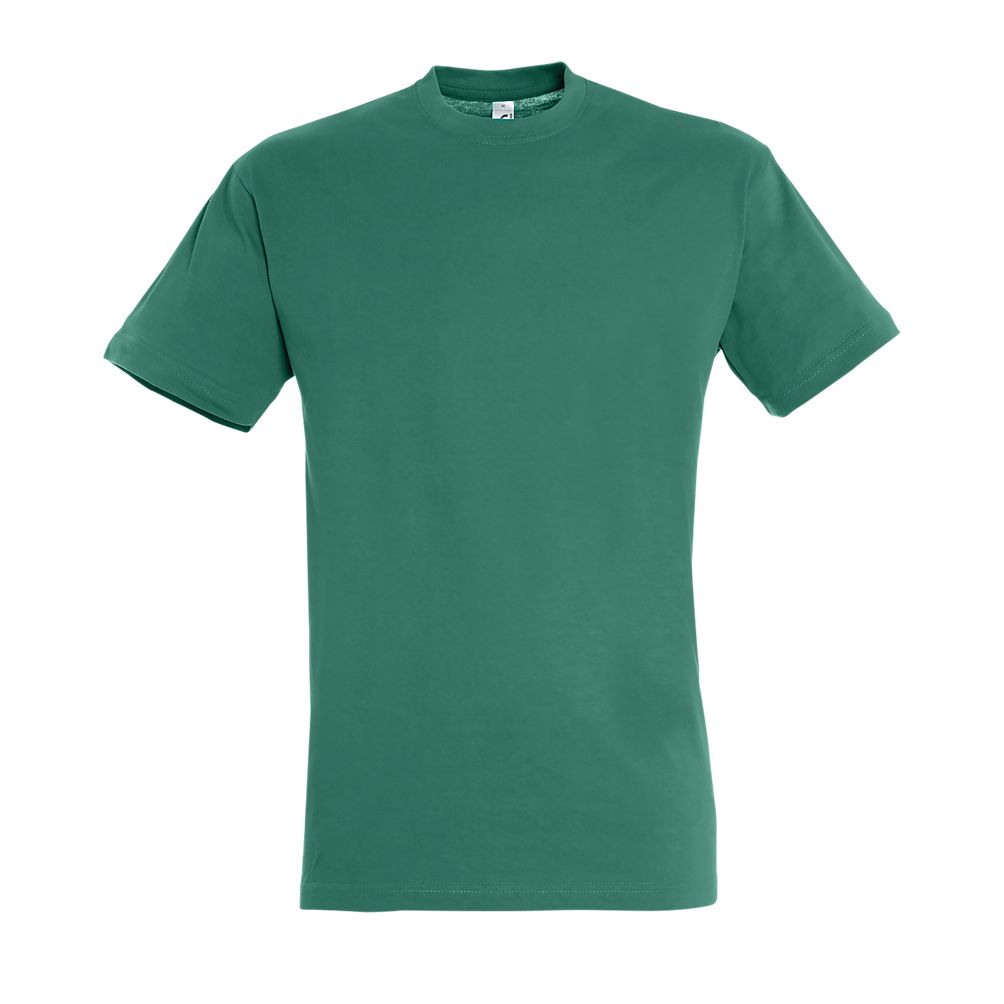 TEE SHIRT REGENT TB