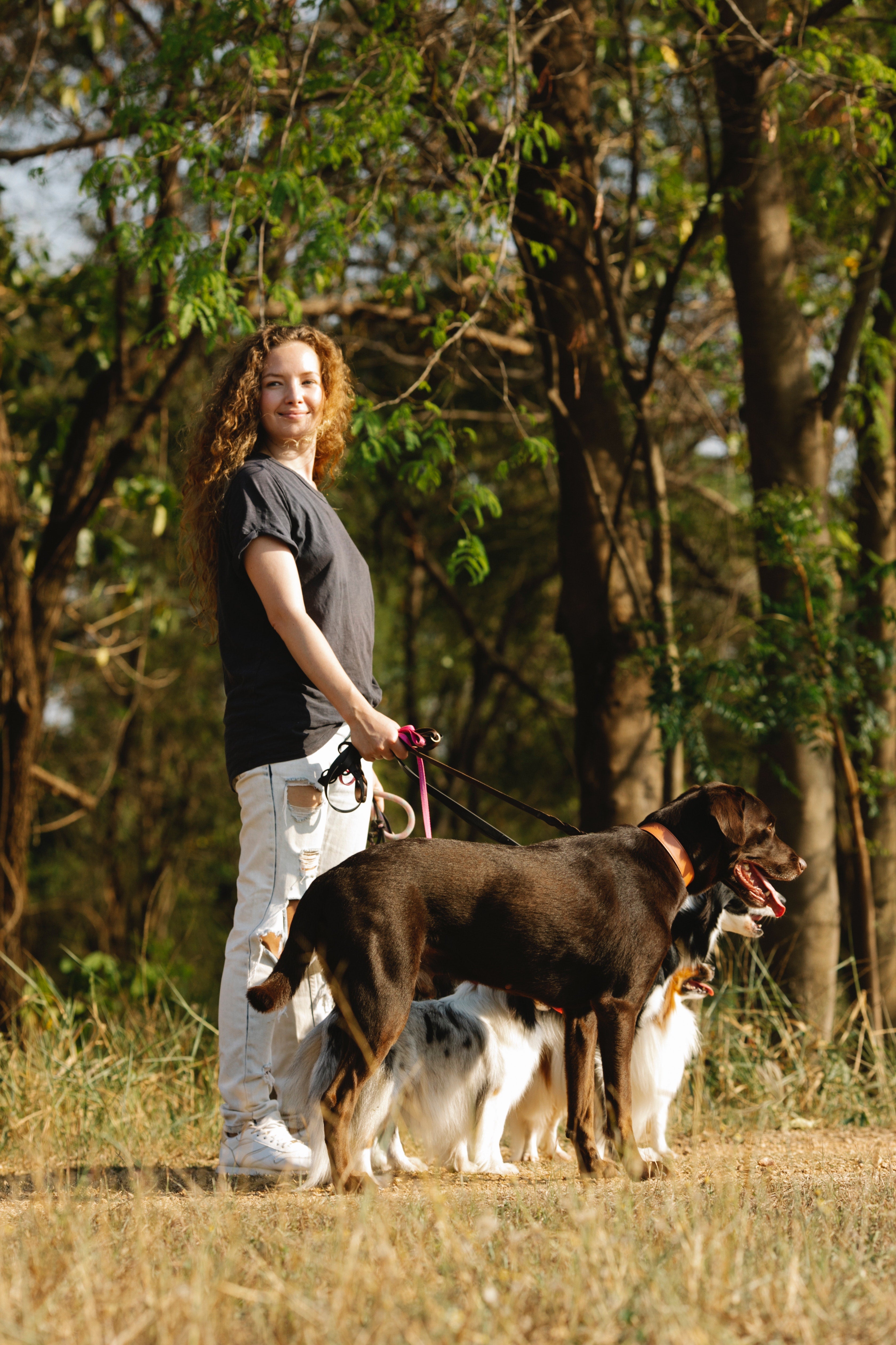 Femmes qui promènes 2 chiens avec une laisse pour animaux  dans la foret
