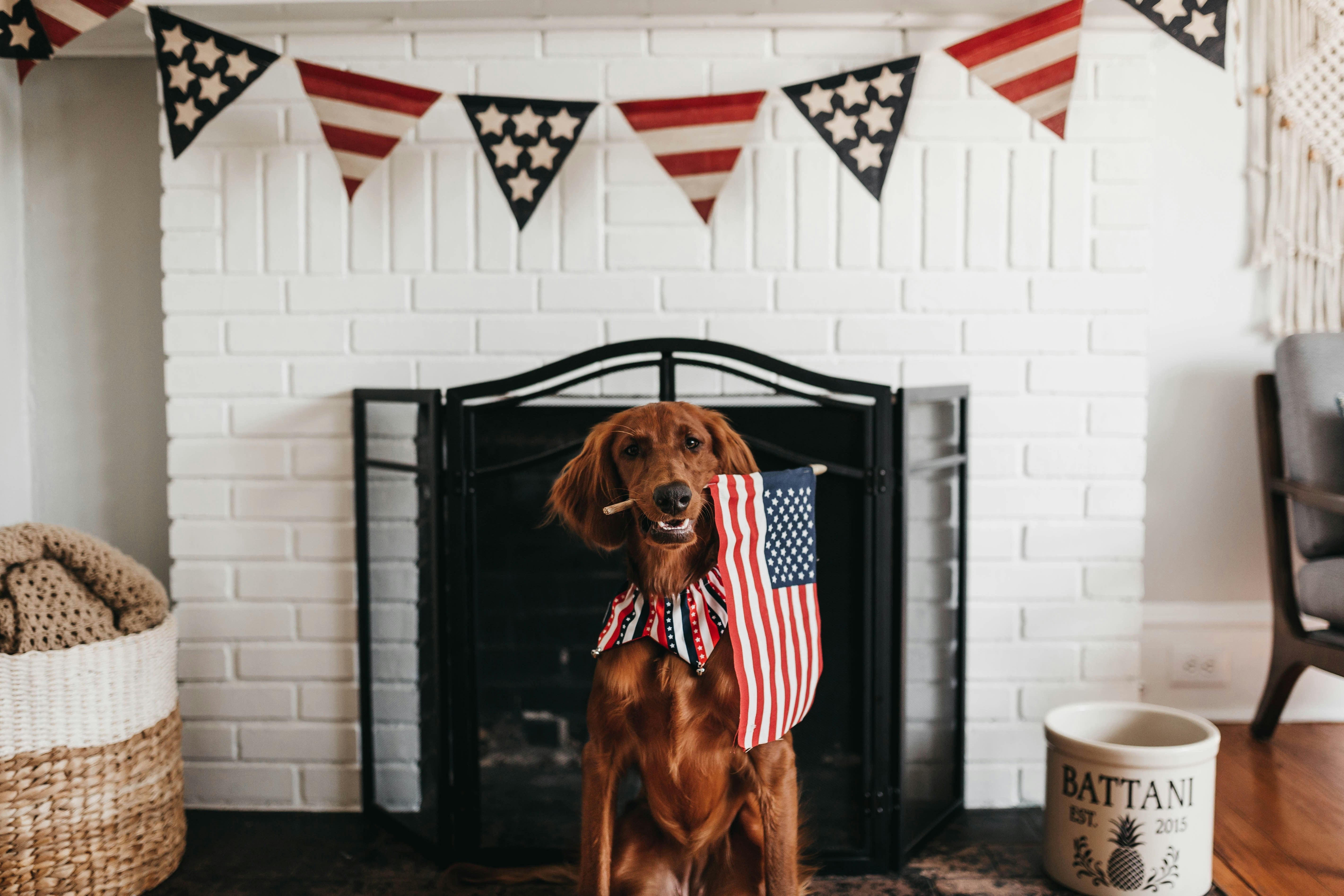 4 Juillet : Les États-Unis fêtent leur indépendance !