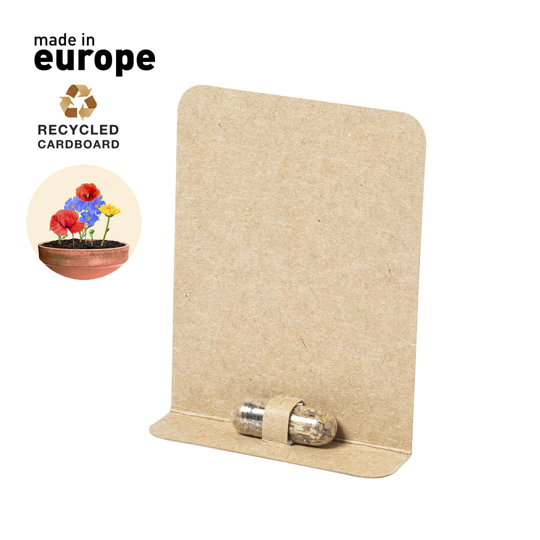 Capsule de graine dans carton recyclé