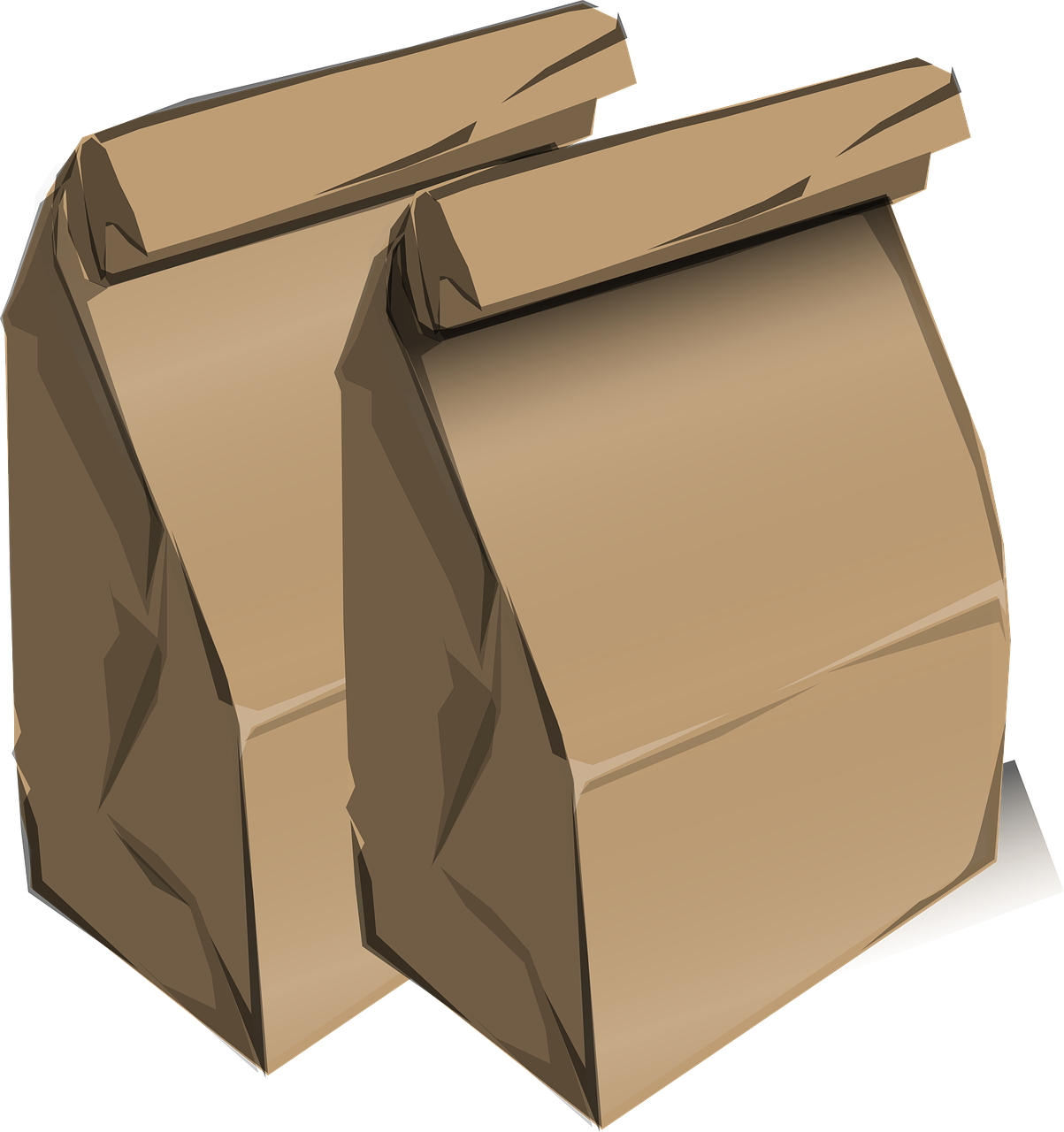 deux sacs en papier recyclable marrons