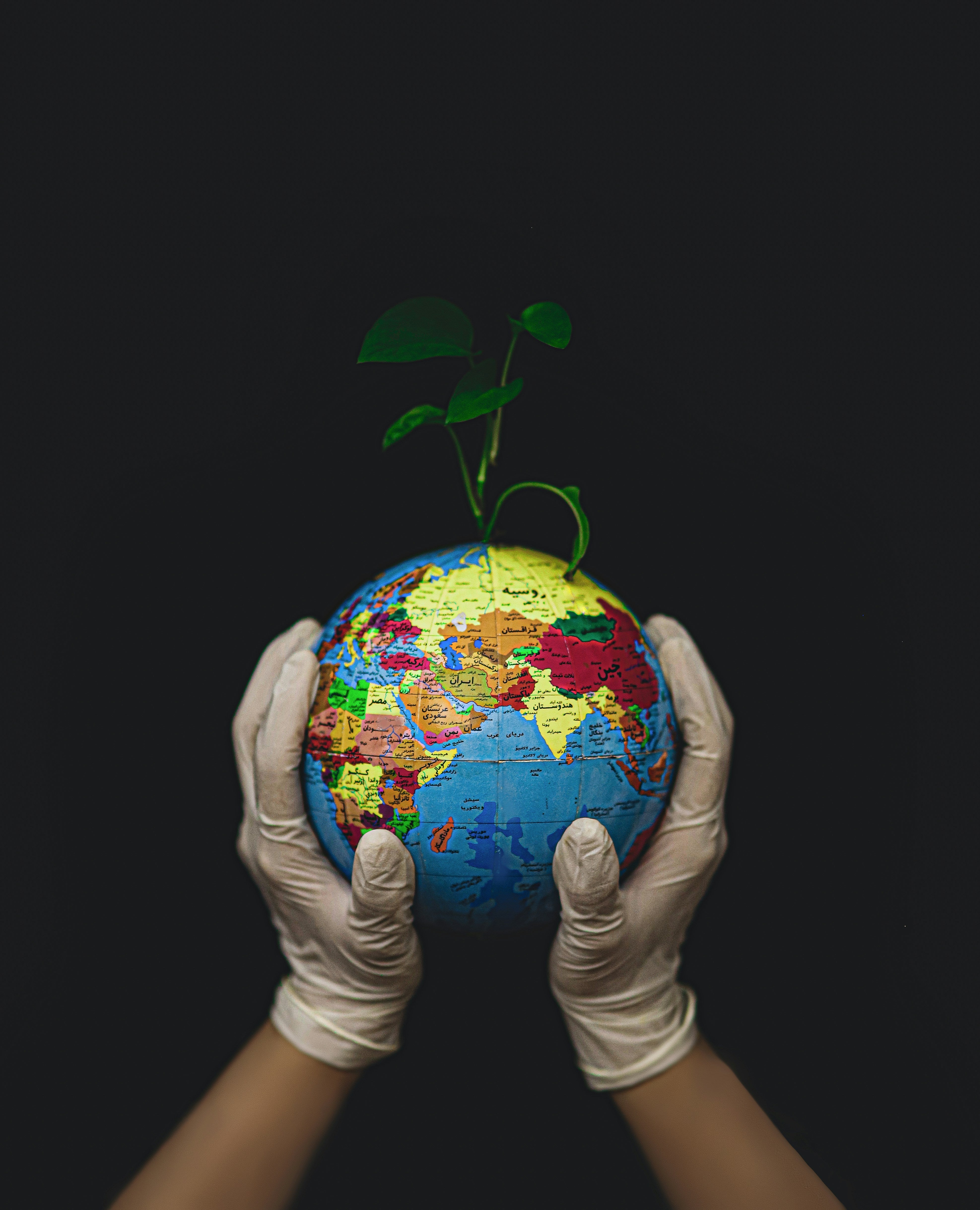 petit globe, une pousse verte au dessus, et des mains avec des gants qui porte ce globe 