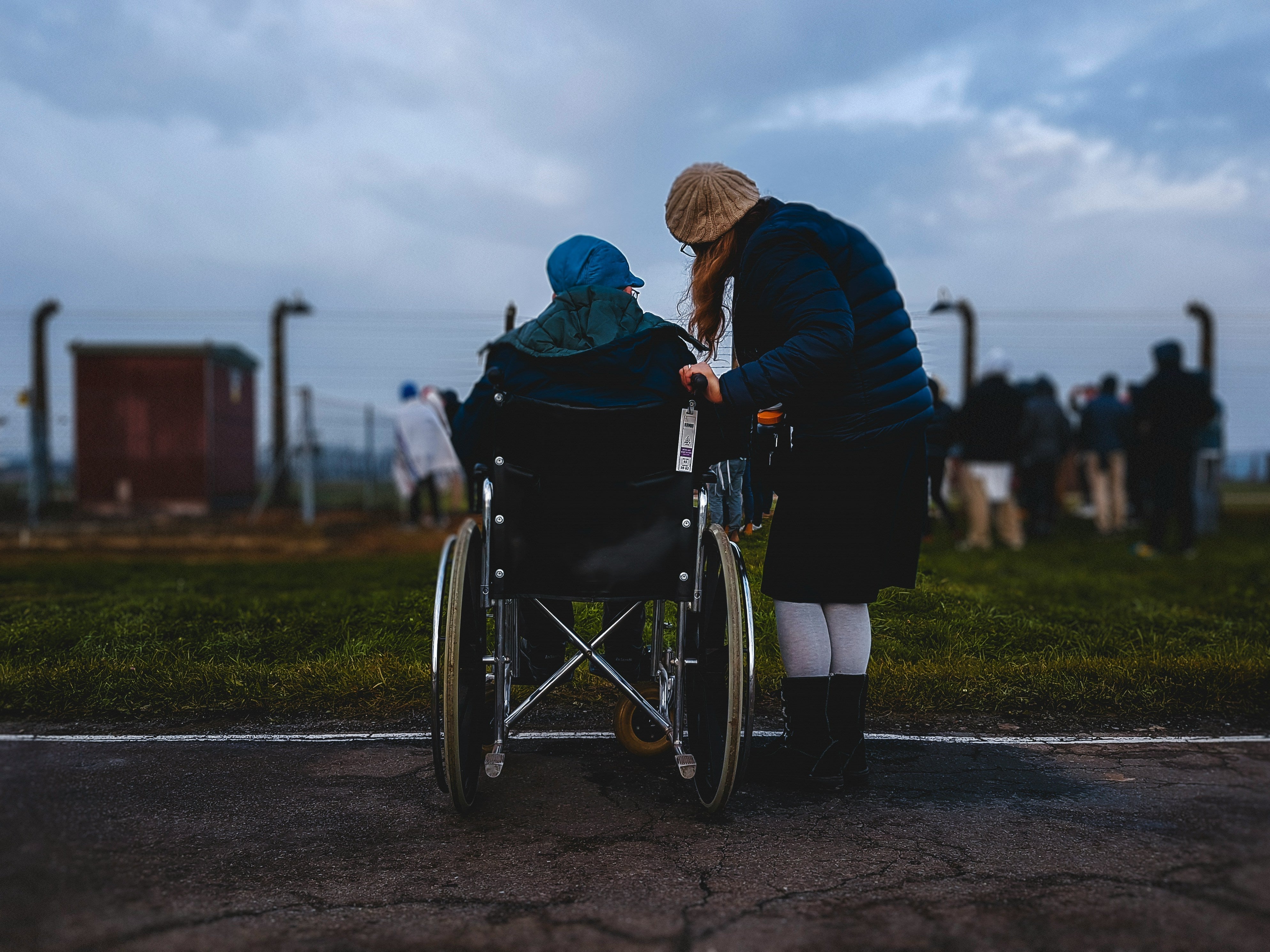 une femme en fauteuil roulant et une autre à côté qui observe les animaux