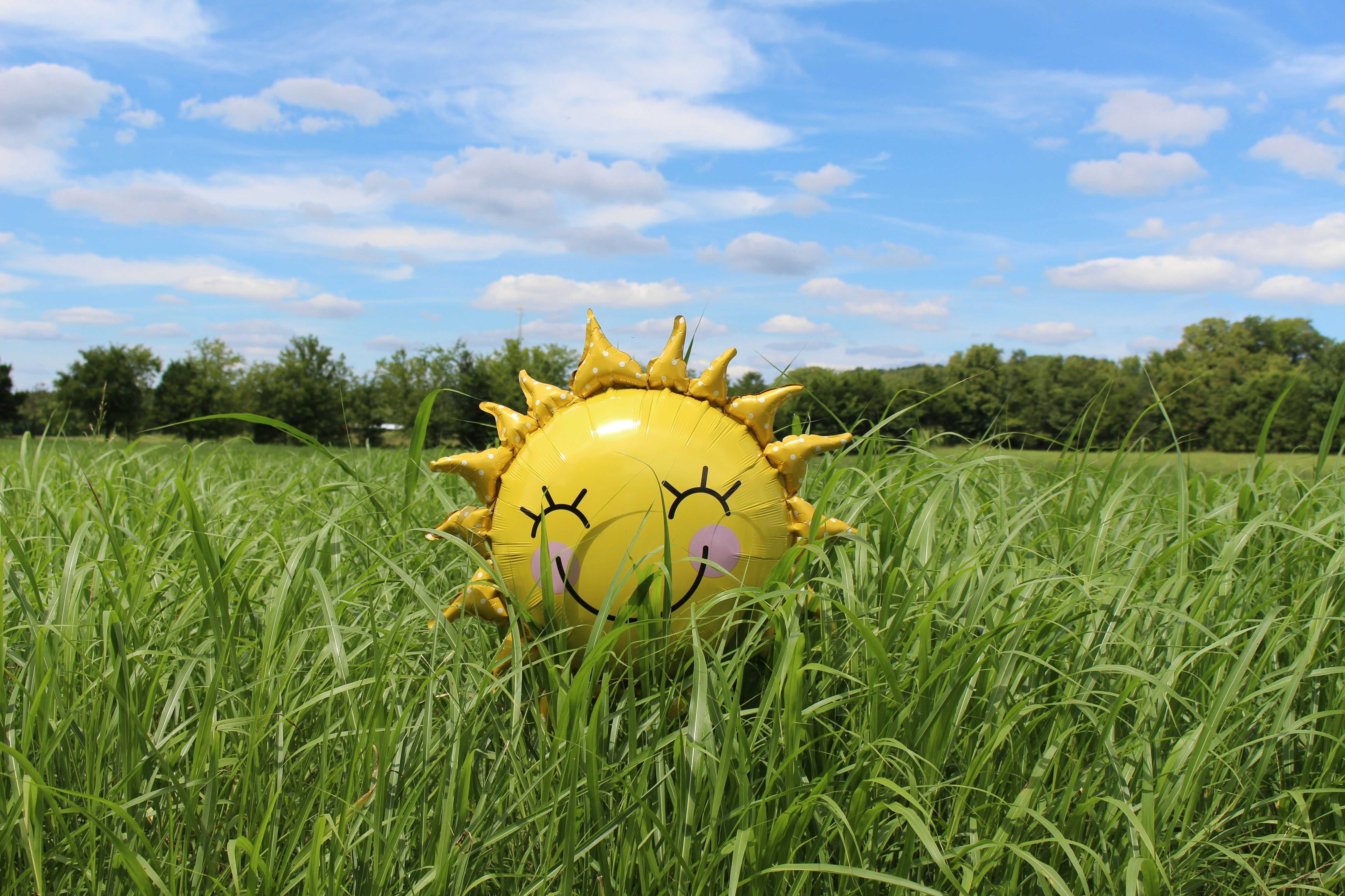 il y a de l'herbe verte avec un ciel bleu et un ballon gonflable sous forme de soleil avec un sourire