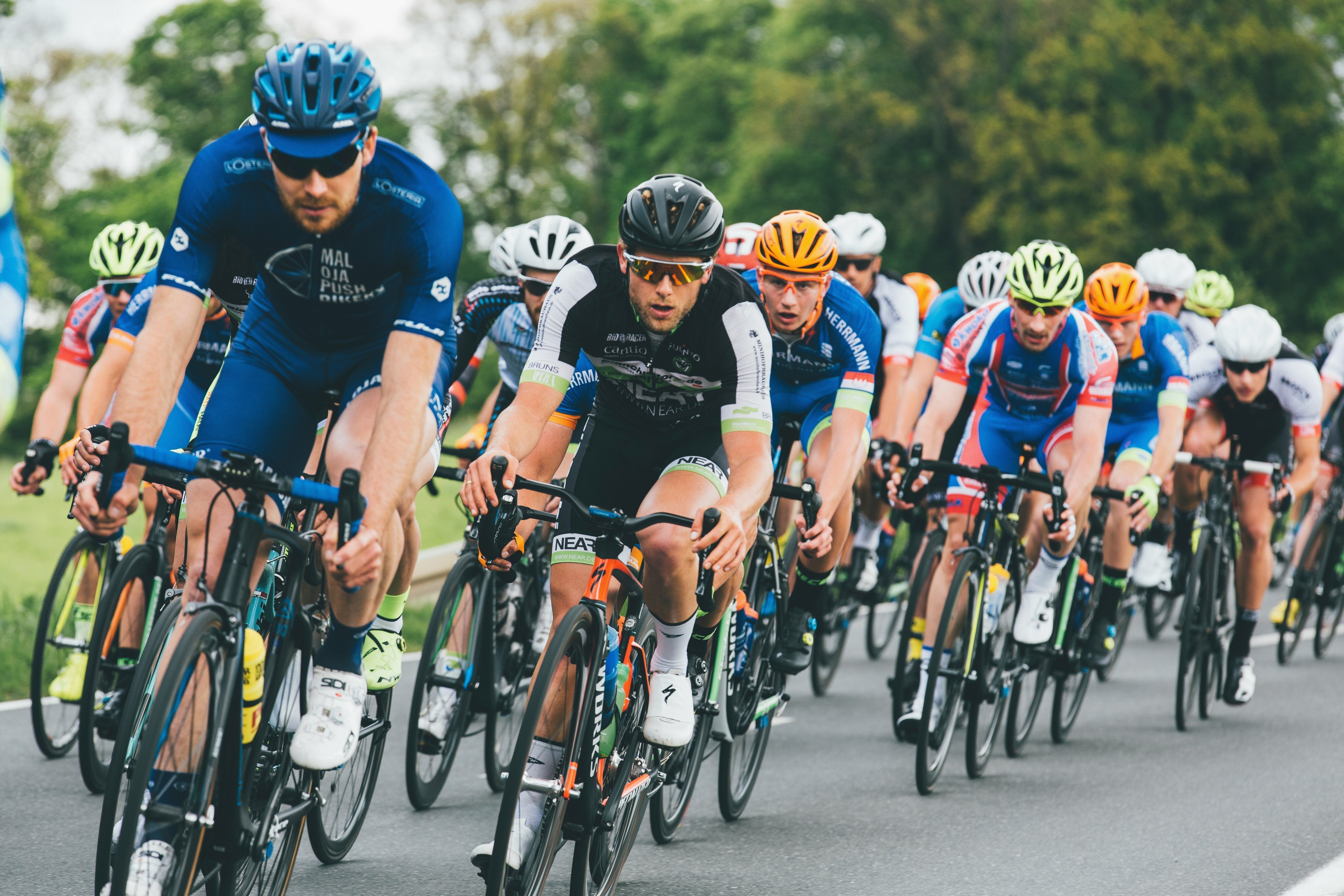 course de vélos en troupeau 