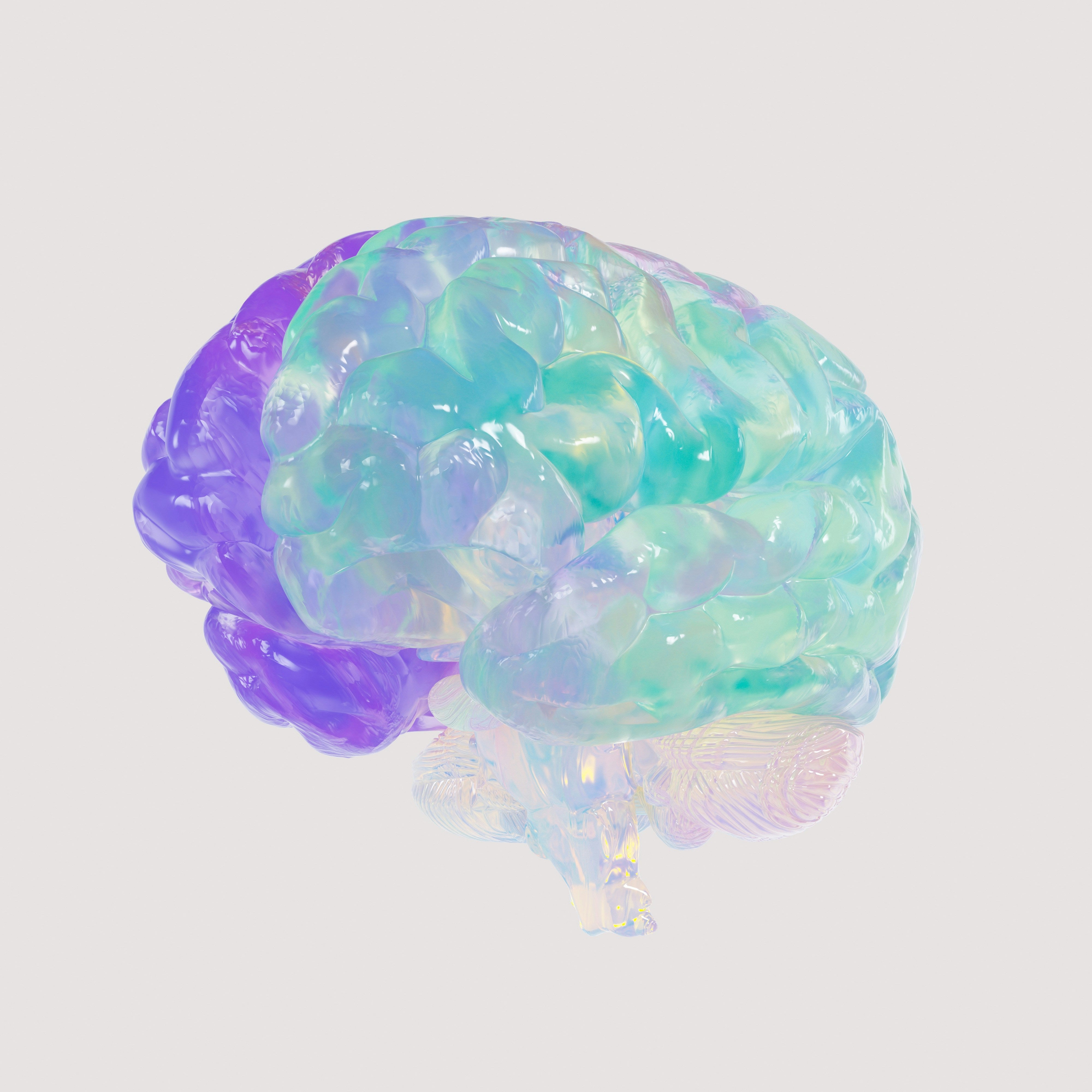 cerveau en 3D, ressortit de couleurs violet, bleu et transparence