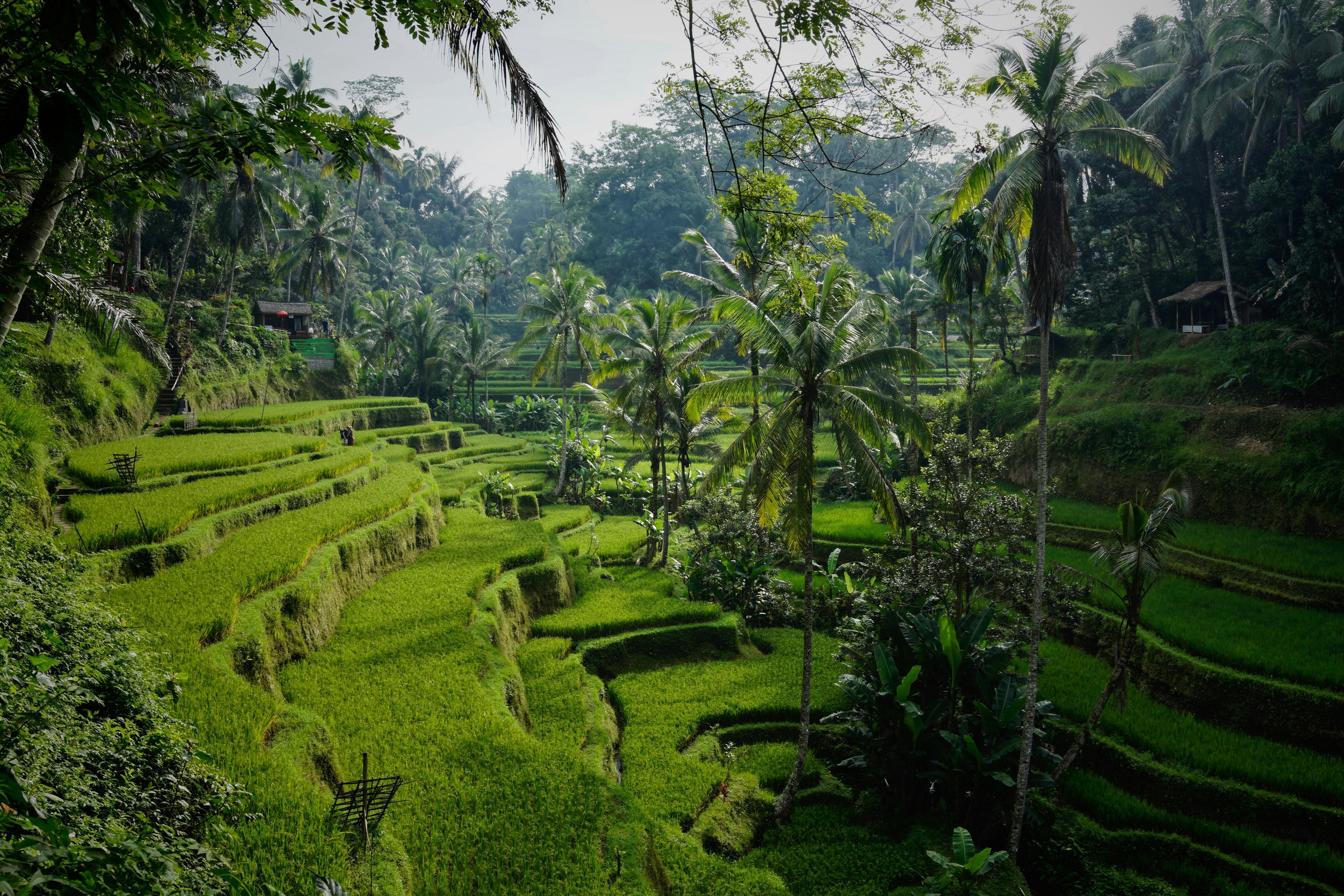 Bali s’arrête pour Nyepi : une journée de silence et de spiritualité