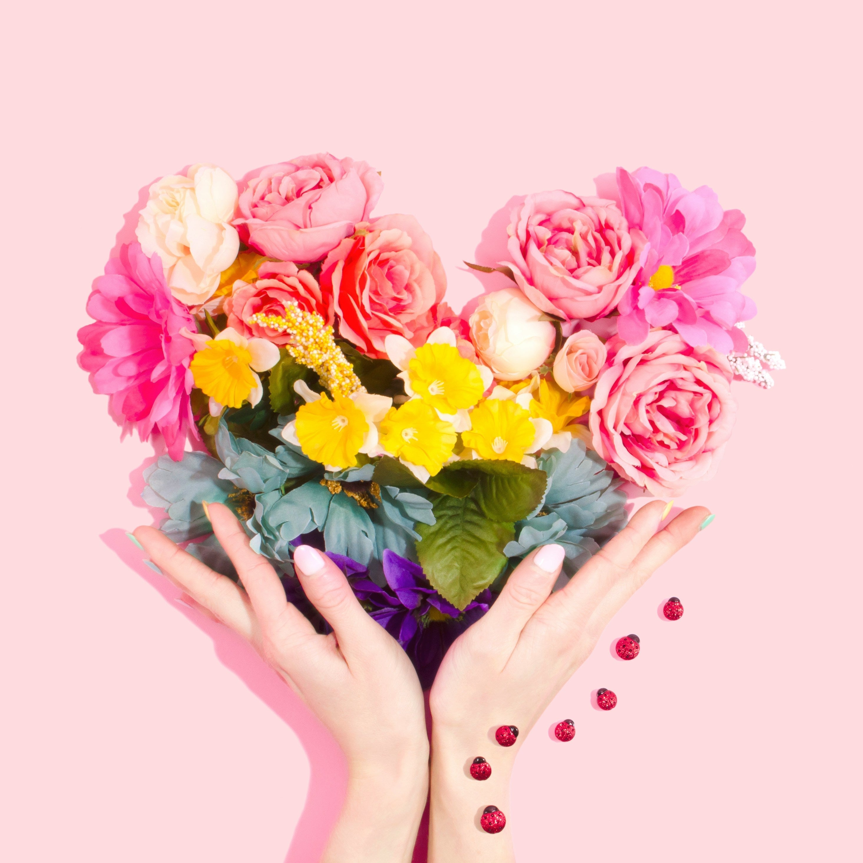 fleurs qui formes un coeur avec des mains en dessous sur un fond rose avec des coccinelles sur le côté