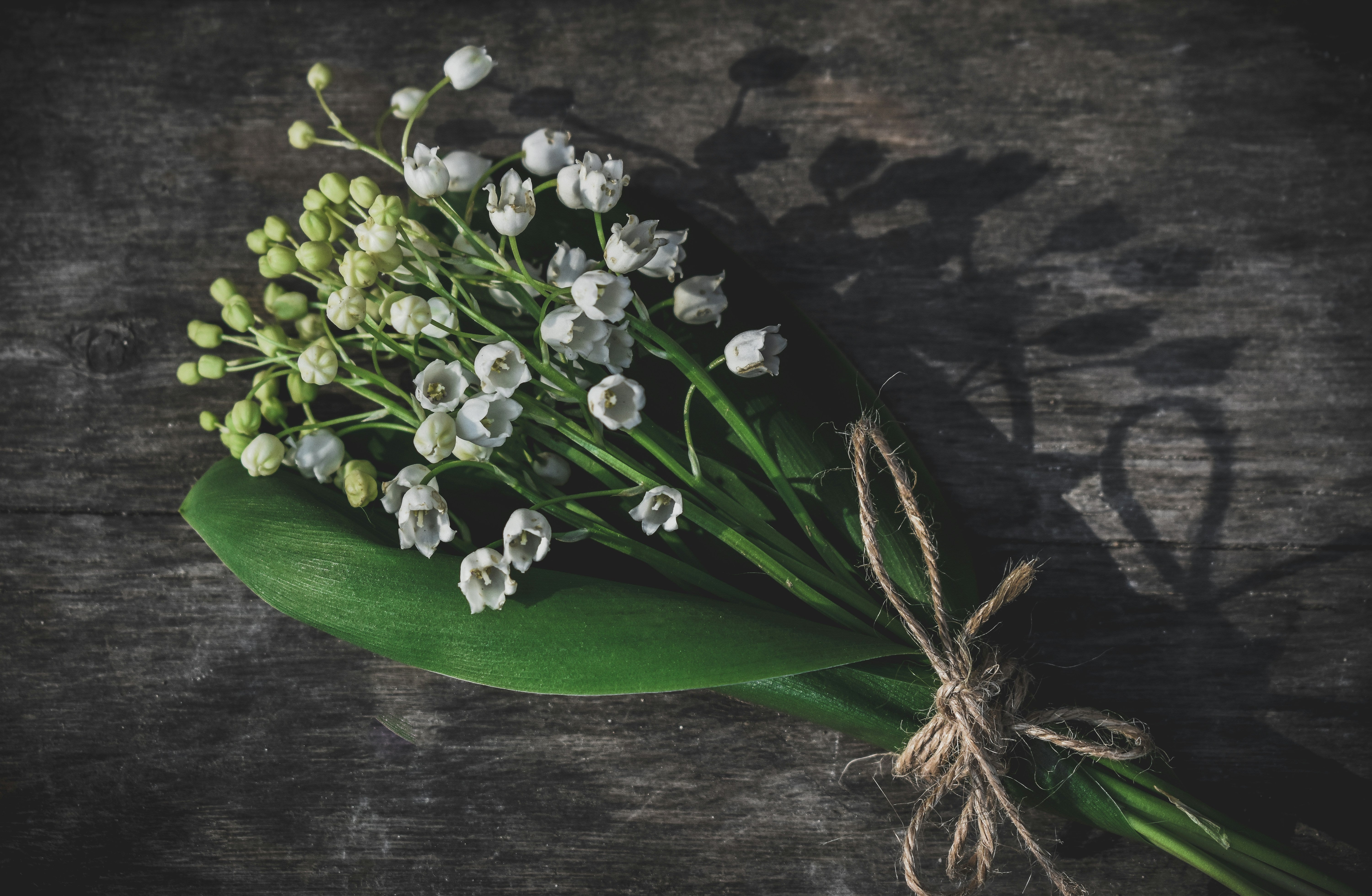 brins de muguet 