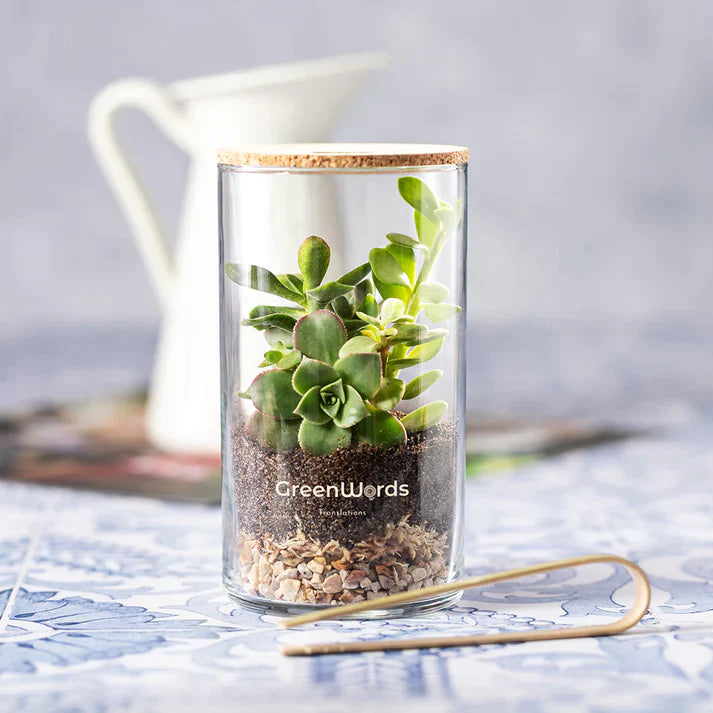 terrarium personnalisable