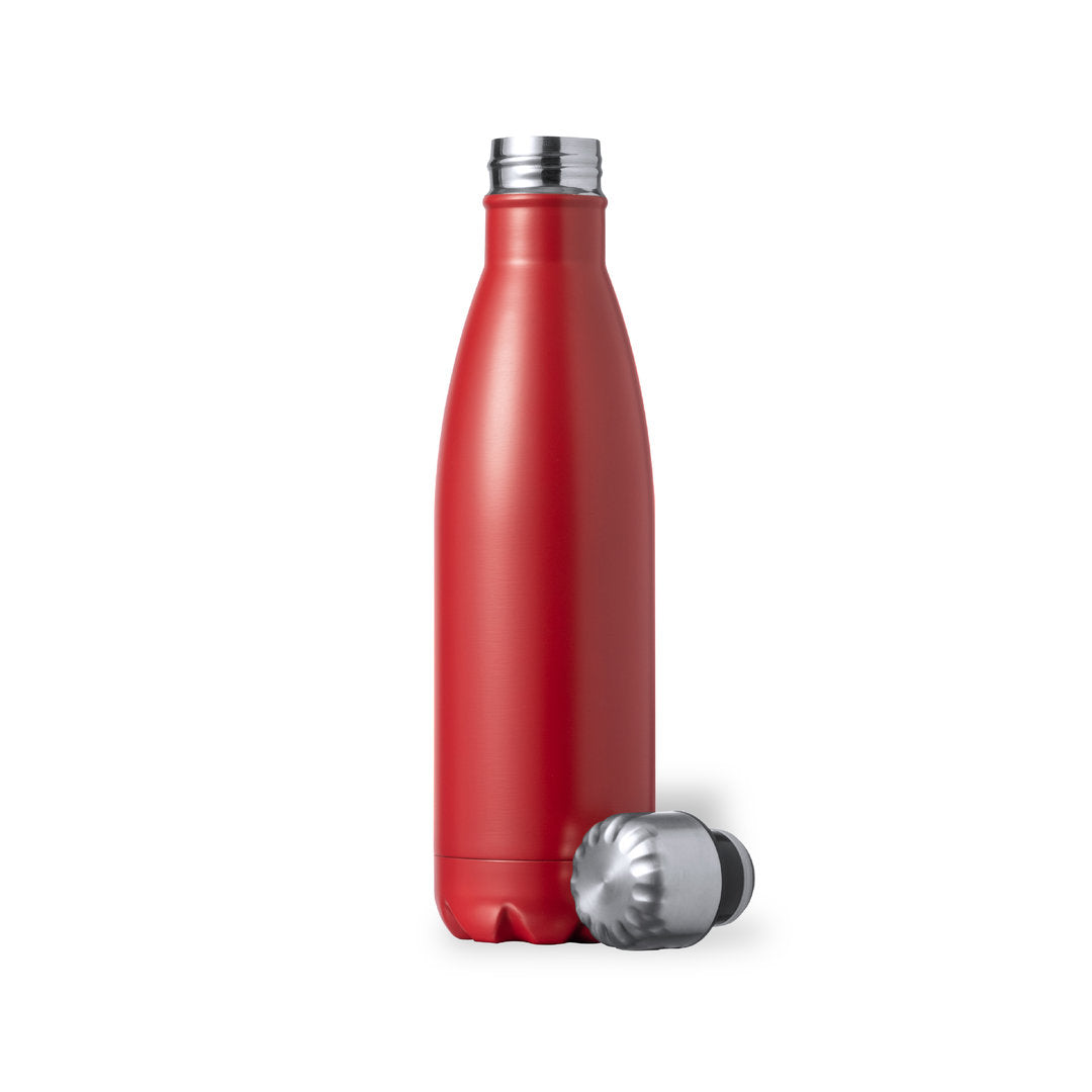 Gourde 550 ml inoxydable sans BPA LIYAR 