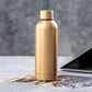 Gourde 800 ml inoxydable finition mate PIGOT