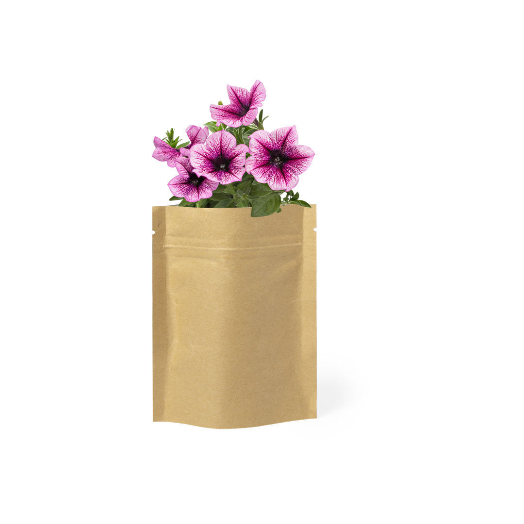 graines de petunia et sac avec substrat de croissance