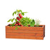 kit de plantation graines en boule pour jardin