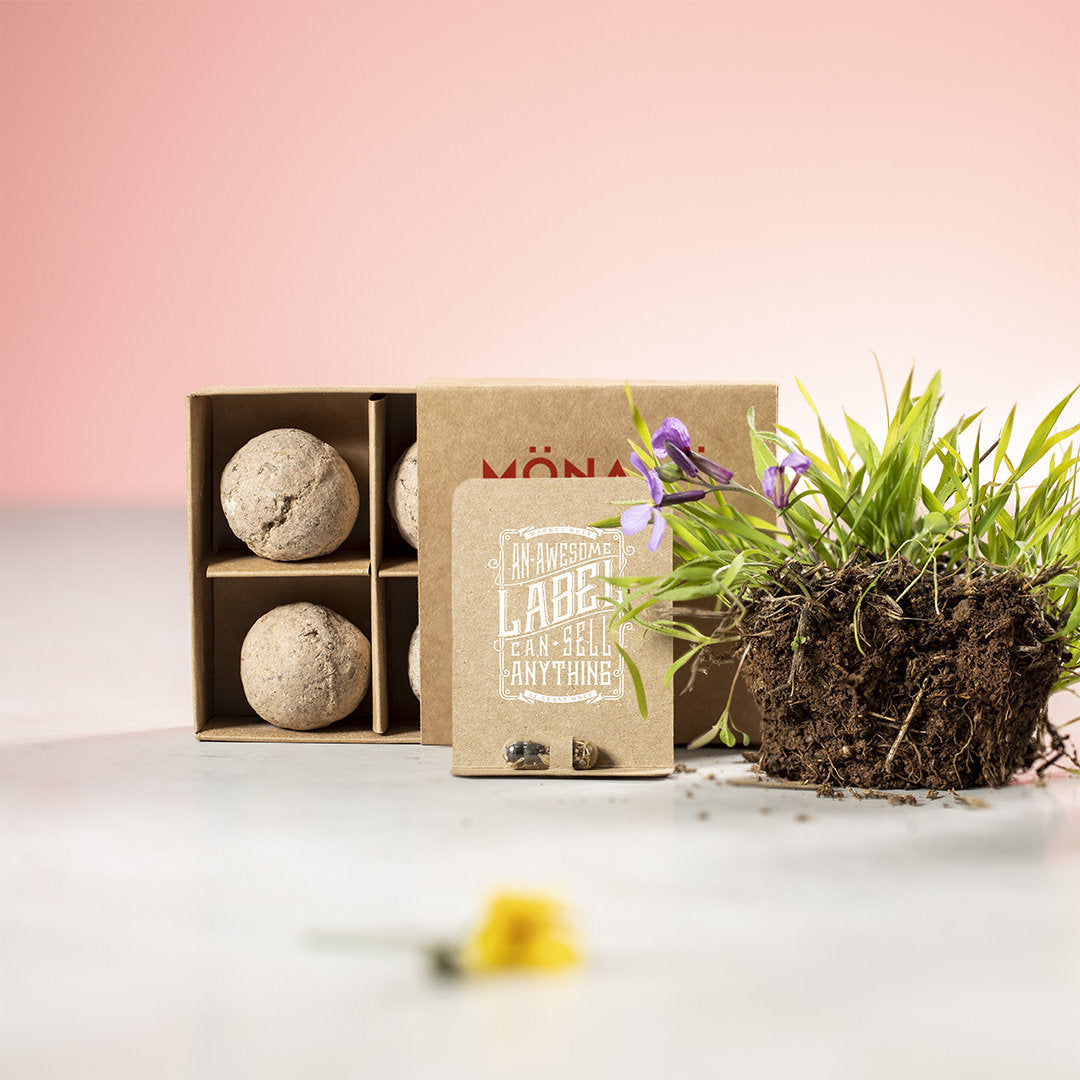 Kit de jardin avec graines avec emballage en carton recyclé