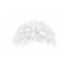 Perruque blanche