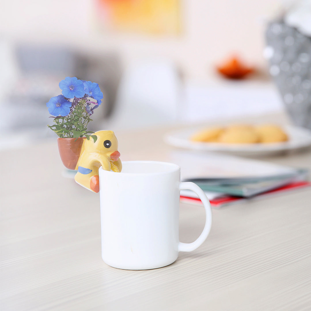 petit pot de fleurs canard avec graines à planter