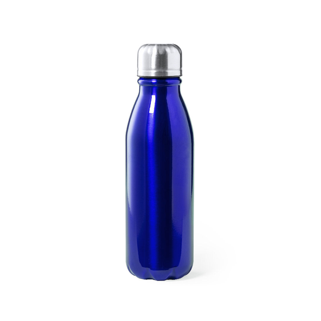 Thermos en aluminium sans bpa 550 ml RAICAN bleue