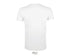 T-shirt REGENT FIT MEN