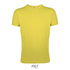 T-shirt REGENT FIT MEN