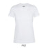 T-shirt REGENT WOMEN