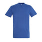TEE SHIRT REGENT TB