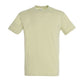 TEE SHIRT REGENT TB