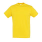TEE SHIRT REGENT TC