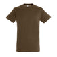 TEE SHIRT REGENT TD