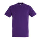 TEE SHIRT REGENT TD